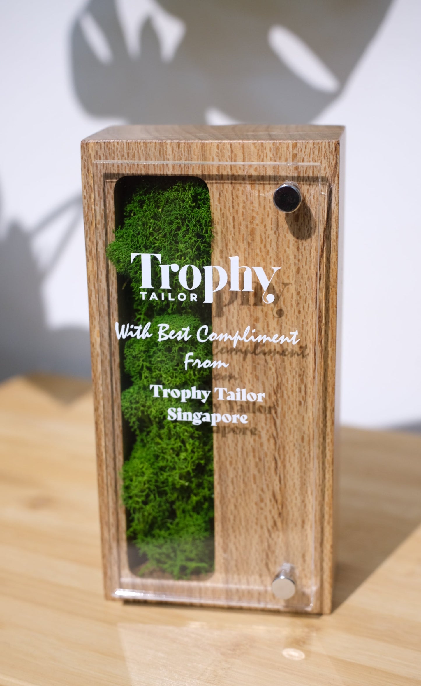 Wooden box with green moss-like material and 'Trophy Tailor' branding on a light background