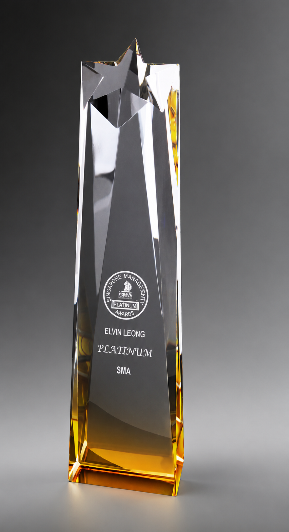 Trophy Tailor Crystal Star Award
