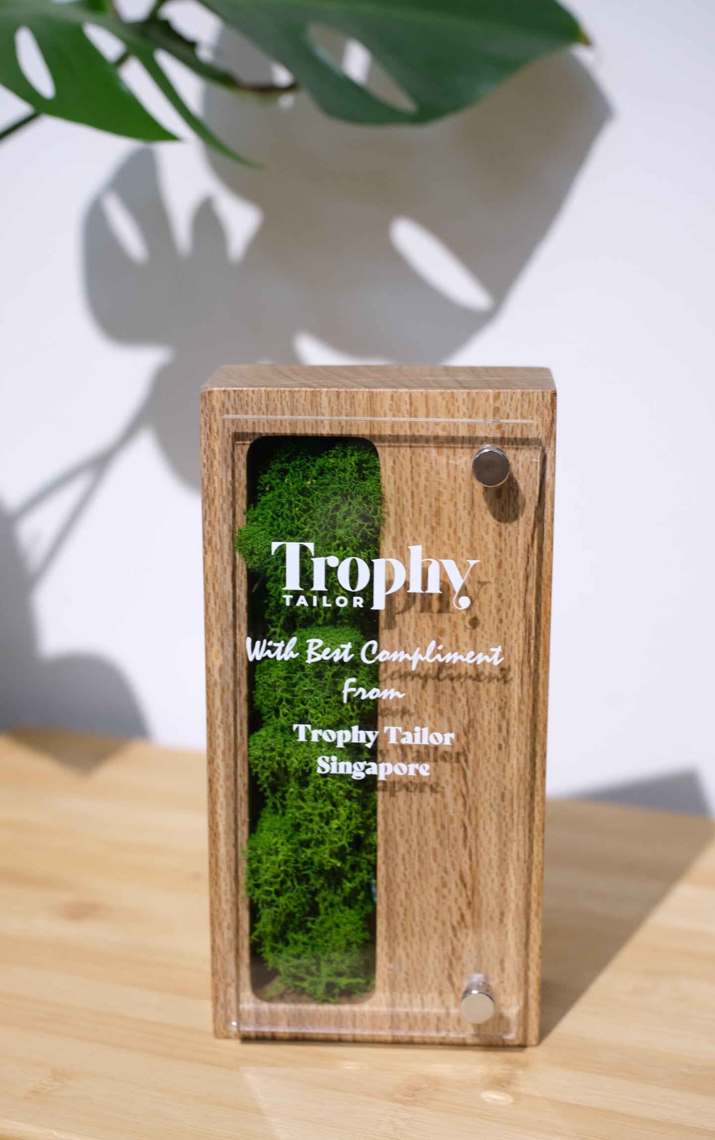 Wooden box with green moss-like material on a light wooden surface